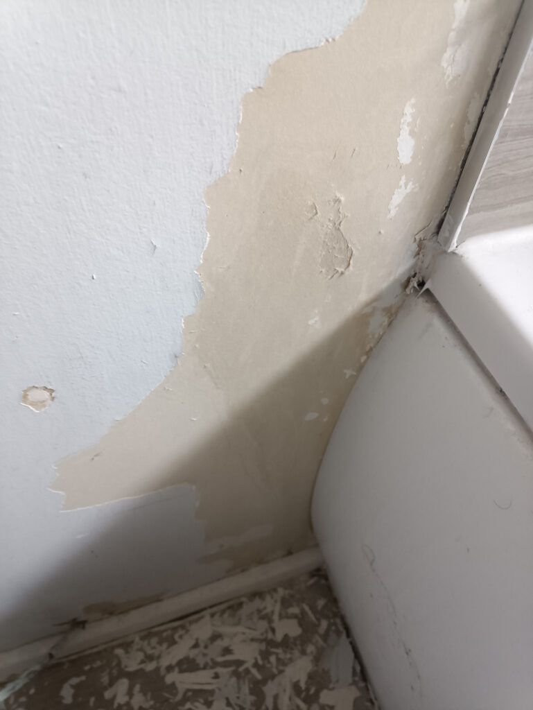 poor single room state West Swindon